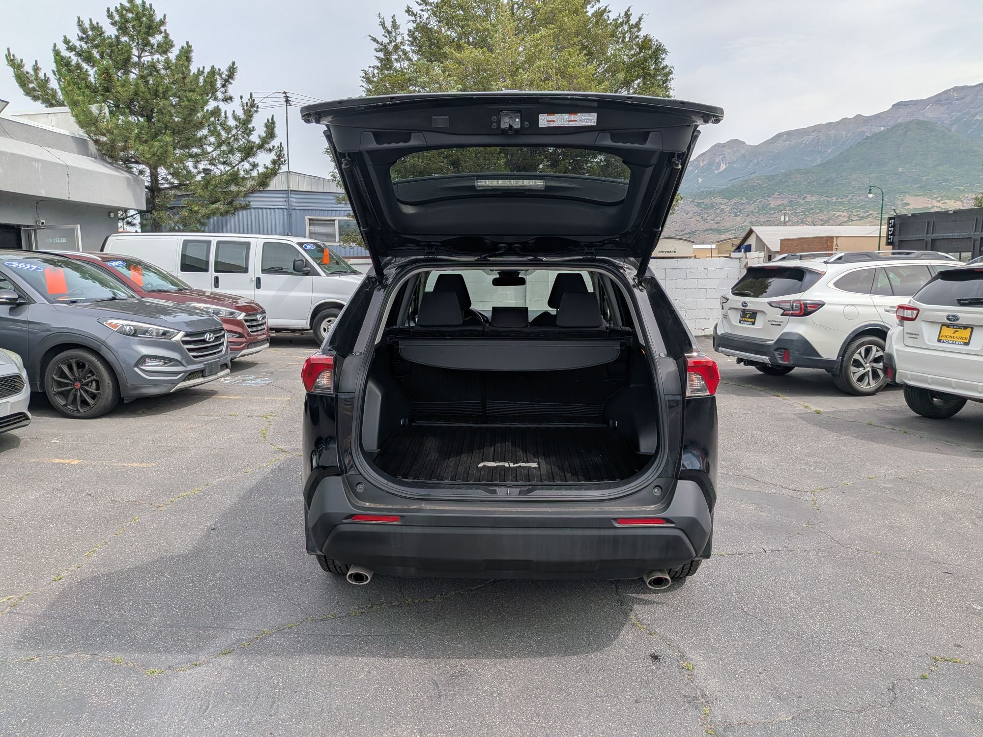 2019 Toyota RAV4 XLE - Photo 6